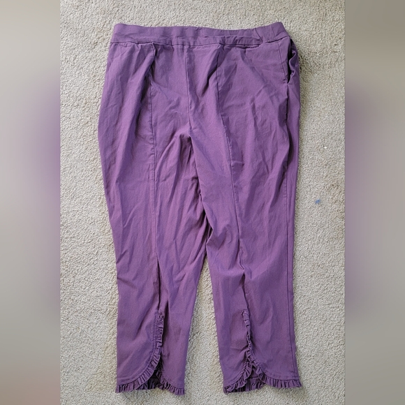 LAST DAY - 10/19/2025 Cato Ankle Pants - Picture 5 of 5